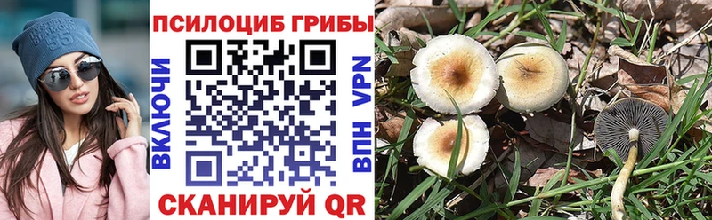 купить закладку  Пятигорск  MEGA рабочий сайт  Псилоцибиновые грибы мухоморы 